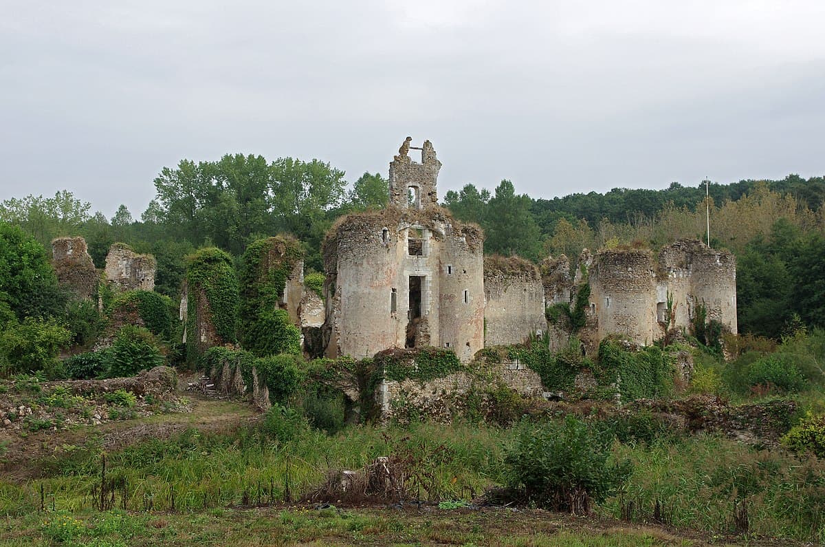 Abandoned castle in Centre-Val de Loire